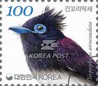 Black Paradise Flycatcher (Terpsiphone atrocaudata)