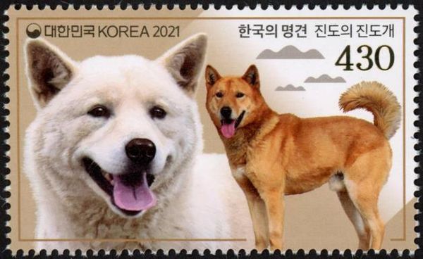 Jindo