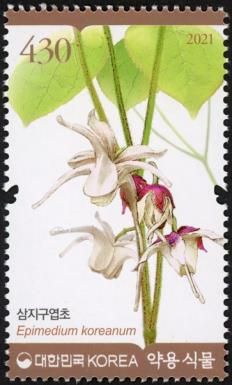 Epimedium koreanum