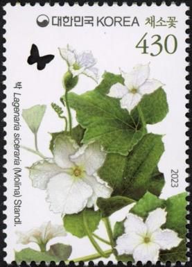 Calabash (Lagenaria siceraria)