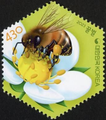 Honey Bees Collecting Pollen