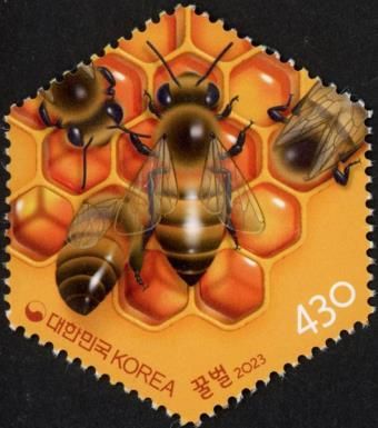 Honey Bees Producing Honey