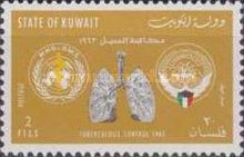 The WHO Tuberculosis Control Campaign