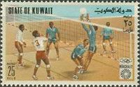 Volleyball