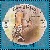 Eurasian Hoopoe (Upupa epops)
