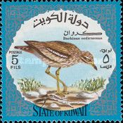 Eurasian Thick-knee (Burhinus oedicnemus)
