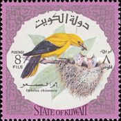 Golden Oriole (Oriolus oriolus)