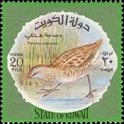 Spotted Crake (Porzana porzana)