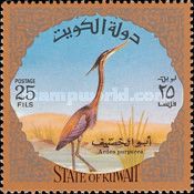 Purple Heron (Ardea purpurea)