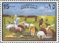 Water Resources- Bedouin watering sheep