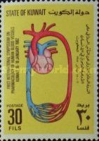 Human Bloodvessel