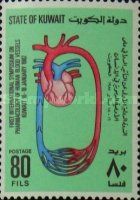 Human Bloodvessel