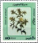 Desert Plants