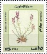 Desert Plants