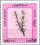 Desert Plants