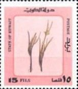 Desert Plants