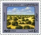 Desert Plants