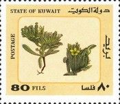 Desert Plants