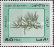 Desert Plants