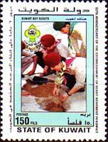 Planting seedling.
