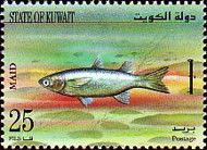 Maid (Planiliza abu)