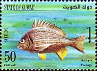 Spotted Yellowfin Seabream (Acanthopagrus sheim)