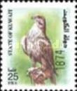 Hawk