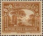 Cedars of Lebanon