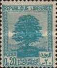 Cedar