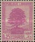 Cedar