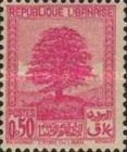 Cedar