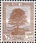 Cedar