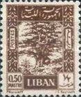 Cedar of Lebanon