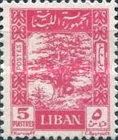 Cedar of Lebanon