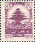 Cedar of Lebanon
