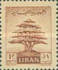Cedar of Lebanon