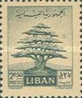 Cedar of Lebanon