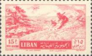 Skiing Among the Cedars