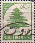 Cedar of Lebanon