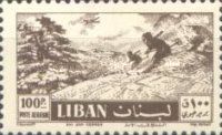 Skiing among the Cedars