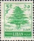 Cedar of Lebanon