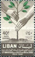 Hands Planting Tree