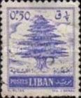 Cedar of Lebanon