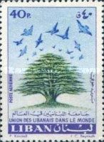 Cedar and Birds