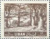 Cedars