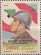 Soldier and Flag