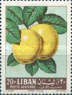 Apples