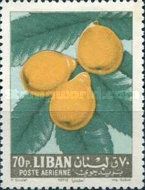 Medlar