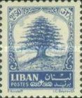 Lebanon Cedar (Cedrus libani)