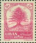 Lebanon Cedar (Cedrus libani)